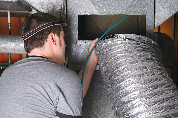 Air Duct Mold Removal in Kouts, IN
